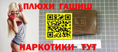 крисы Котовск