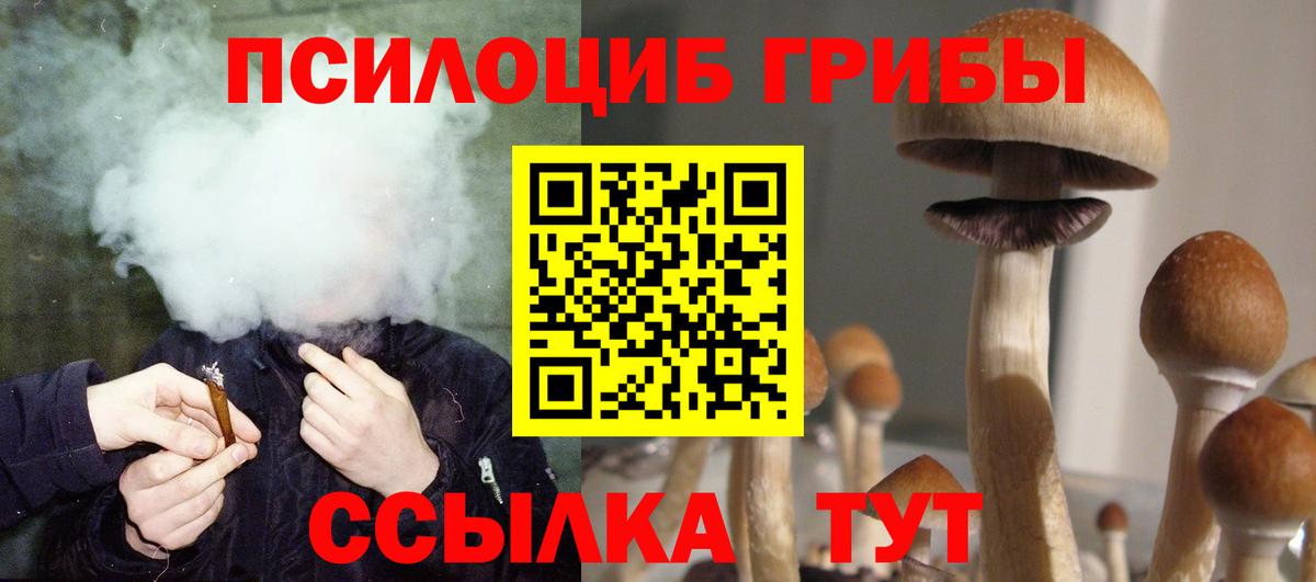 Псилоцибиновые грибы мицелий Луга